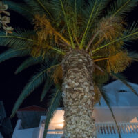 hotel-proteas-thasos-2